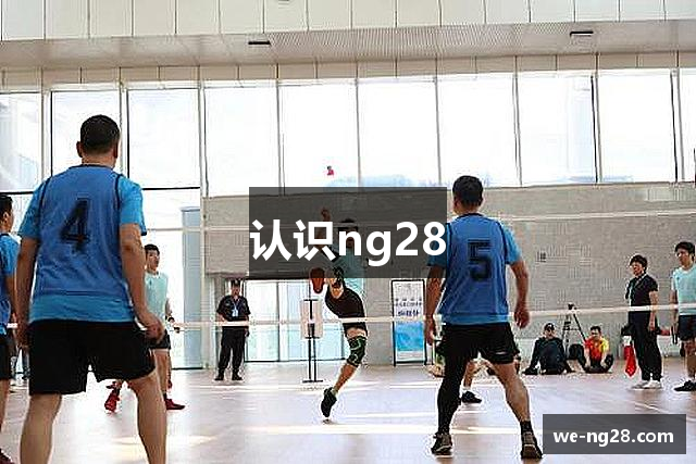 认识ng28